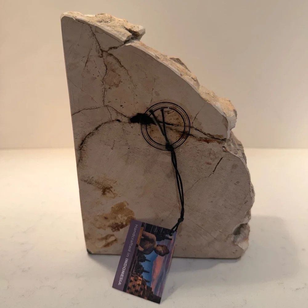Natural Petrified Wood Single Bookend Handmade Heavy Large Neutral Bibliophile